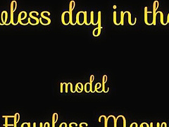 A Flawless Day In The Park - Video