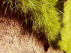 A Flawless Day In The Park - Video