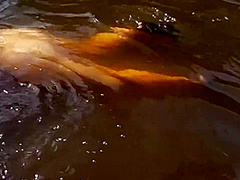 Outdoor Public Strip Piss And Nude Swim Spectators
