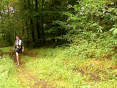 Nerd Teen Skipping The School To Be Analy Drilled Outdoor