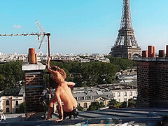In Paris - Wild Public Sex With View Possible! Amateur Couple - Leo Lulu