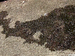 Pjt- - Bitches Piss In The Street