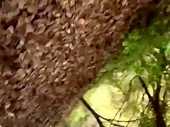 38 Titty Milf In Forest