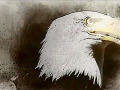 Beast Mode Activated 10 Min