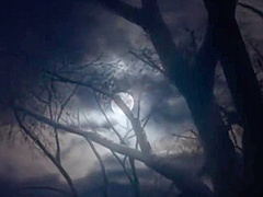 Beast Mode Activated 10 Min