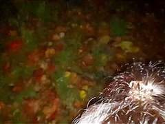 Amazing Public On The Roadside Bj Time, Who Doesn't Want Yet?