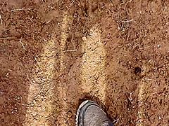 Jhil Ke Kinare Chup Chup Ke Sex Kiya - Indian Outdoor Sex