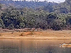 Jhil Ke Kinare Chup Chup Ke Sex Kiya - Indian Outdoor Sex