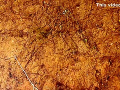 Jhil Ke Kinare Chup Chup Ke Sex Kiya - Indian Outdoor Sex