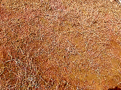 Jhil Ke Kinare Chup Chup Ke Sex Kiya - Indian Outdoor Sex