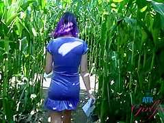 Lily Adams - Corn Maze