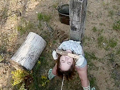 Tied To Post Outdoors