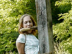 Tied To Post Outdoors
