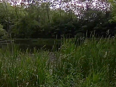 Wilderness Nightmare (full Video)