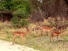 Ai Uehara In Hottest Porn Video Hd Fantastic Unique