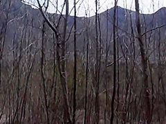 3 Scene Di Scopate Amatoriali Donne Italiane Troie Sposate