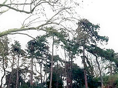 Prof Agnes From Mulhouse