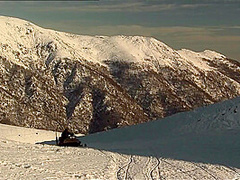 Roxy Panther In Horny Teen