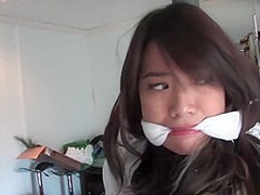 Smuggling Stewardess