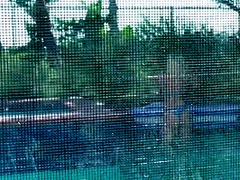 My Stepdaddy Trained Me Well 6 - Dixie Lynn