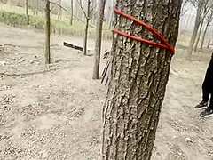 Park Bundled Documentary