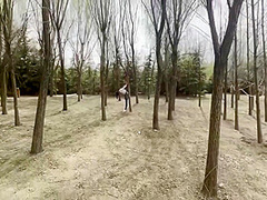 Park Bundled Documentary