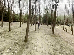 Park Bundled Documentary