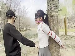 Park Bundled Documentary