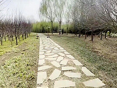 Park Bundled Documentary