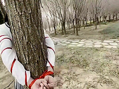 Park Bundled Documentary