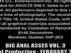Kelsi Monroe, Keisha Grey And Erik Everhard In Big Anal Asses Vol. 3 (2015)