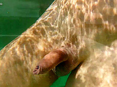 Paola And Stefan Love And Sex In Tulum