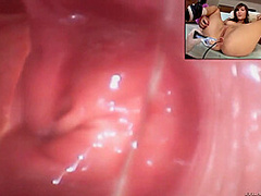 Anal Honeys - Holly Michaels