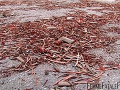 Mistress Eleise - Smoke Training