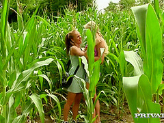 Wild Fucking In The Woods With Teen Lesbians - Bella B, Cayla Lyon And Cayla Lyons