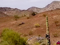 Cougar Blows Huge Dick Outdoor And Fucks