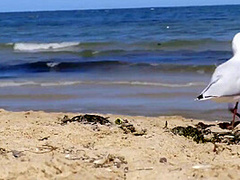 Lesbian Girls Enjoying Themselves At The Beach