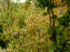 Black Beach Patrol #6