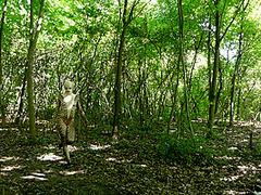 Flexible In Nature - Watch4Fetish