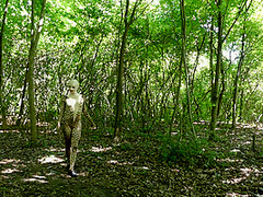 Flexible In Nature - Watch4Fetish