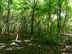 Flexible In Nature - Watch4Fetish
