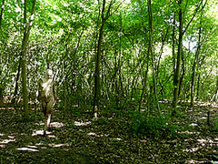 Flexible In Nature - Watch4Fetish
