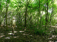 Flexible In Nature - Watch4Fetish