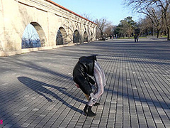 Exercises For The Winter - Watch4Fetish