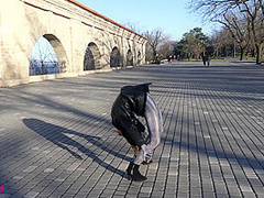 Exercises For The Winter - Watch4Fetish