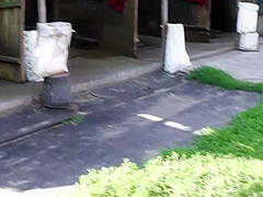 Tanja Fisting At The Ranch