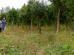 Chinese Prisoner Walking