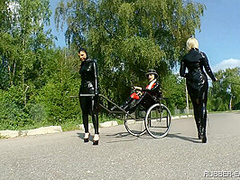 Education For A Rubber Pony