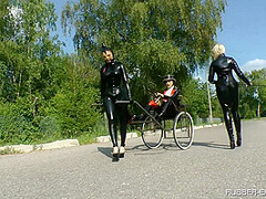 Education For A Rubber Pony