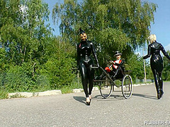 Education For A Rubber Pony